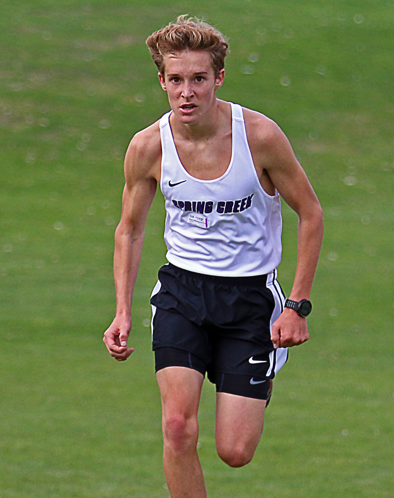 William Fallini-Haas